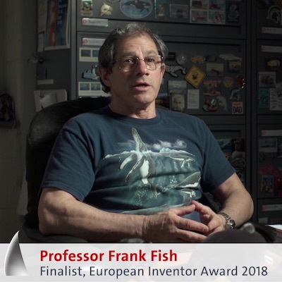 Close-up of a humpback whale's pectoral fin showing the distinct tubercles along its leading edge.