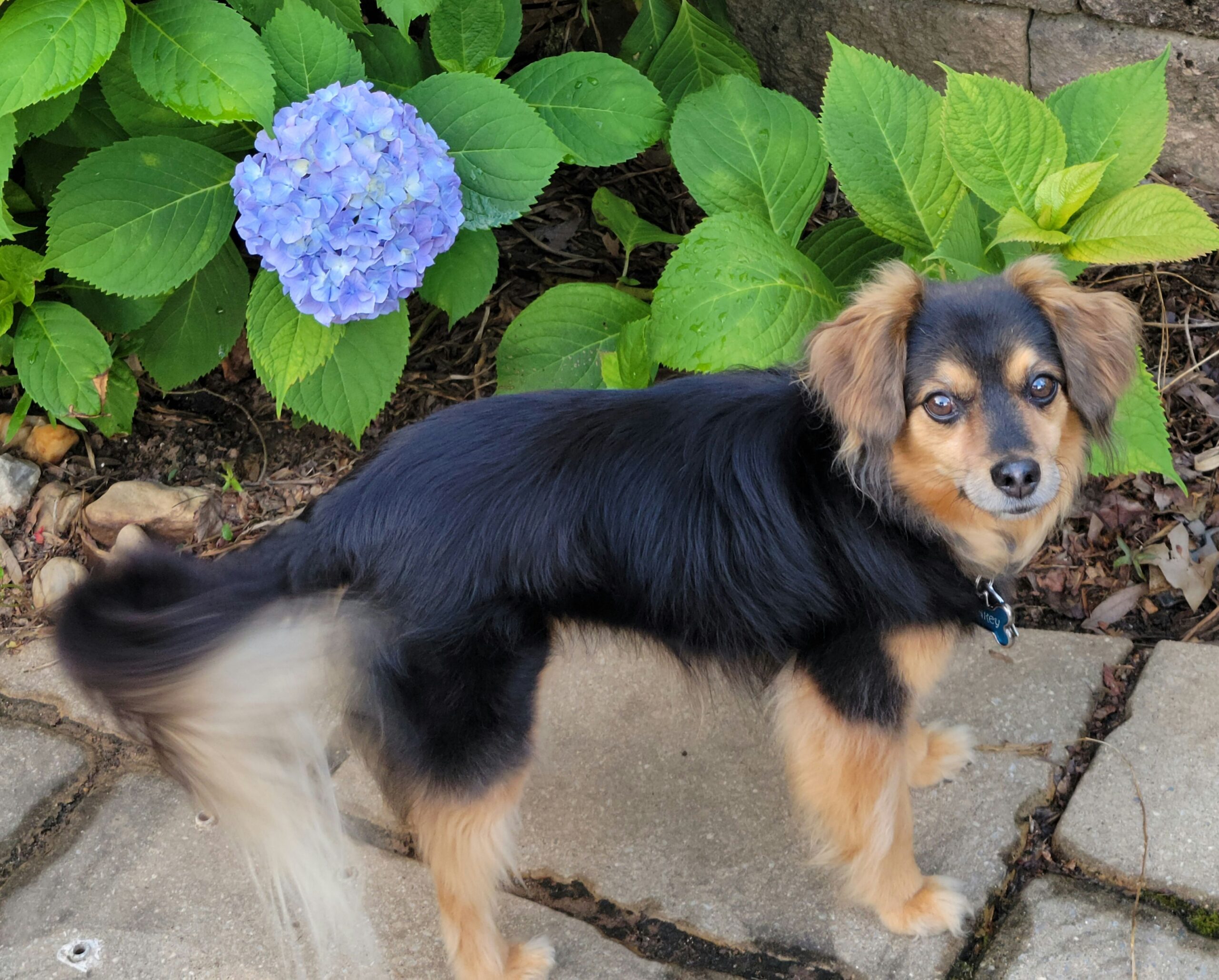 トランプ大統領が特許製薬輸入に100%関税を課す大統領令に署名する様子