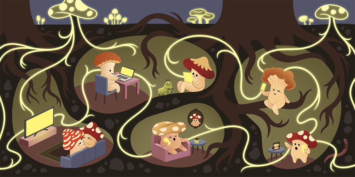 A complex network diagram illustrating interconnected nodes, symbolizing the decentralized nature of the Open Social Web.